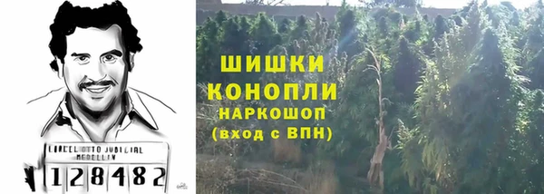 мдпв Магас