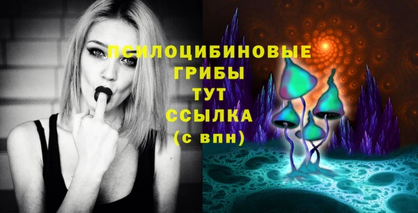 мдпв Магас